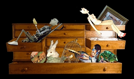 A Cabinet of Curiosities